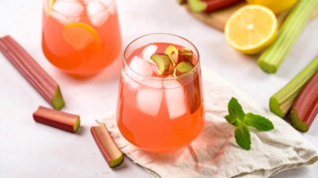 Homemade Rhubarb Syrup 169 4