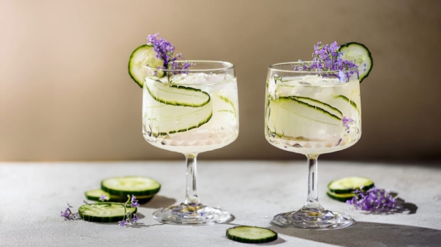 Elderflower & Cucumber Collins 169 3