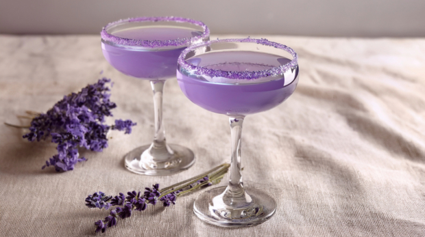 Violet-Aviation-169-1